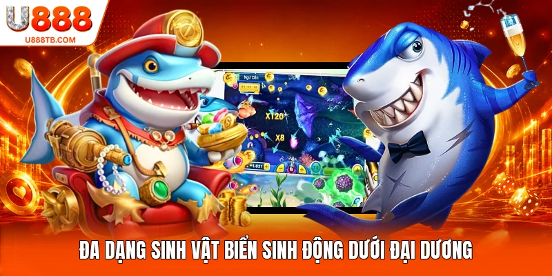 Đa dạng sinh vật biển sinh động dưới đại dương