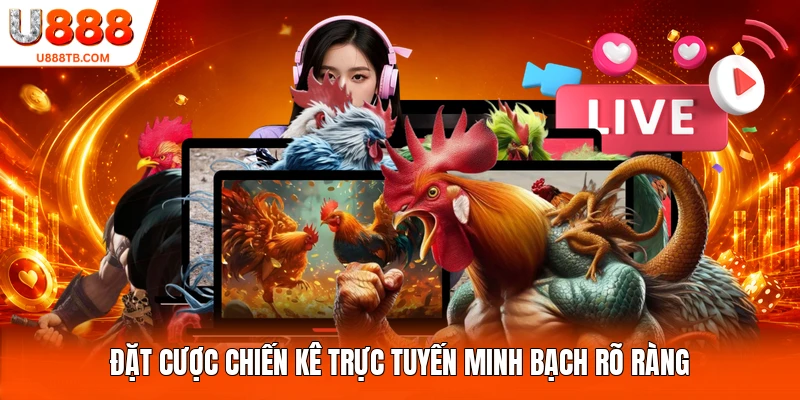 Đặt cược chiến kê trực tuyến minh bạch rõ ràng