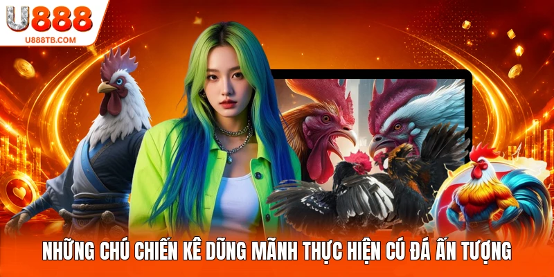 Những chú chiến kê dũng mãnh thực hiện cú đá ấn tượng